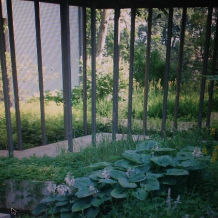 Avliving City Flat Basel With Roof Garden 外观 照片