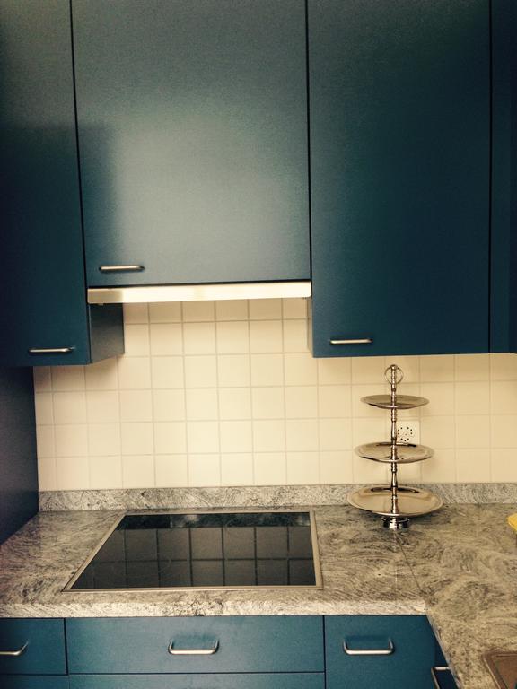 Avliving City Flat Basel With Roof Garden 外观 照片
