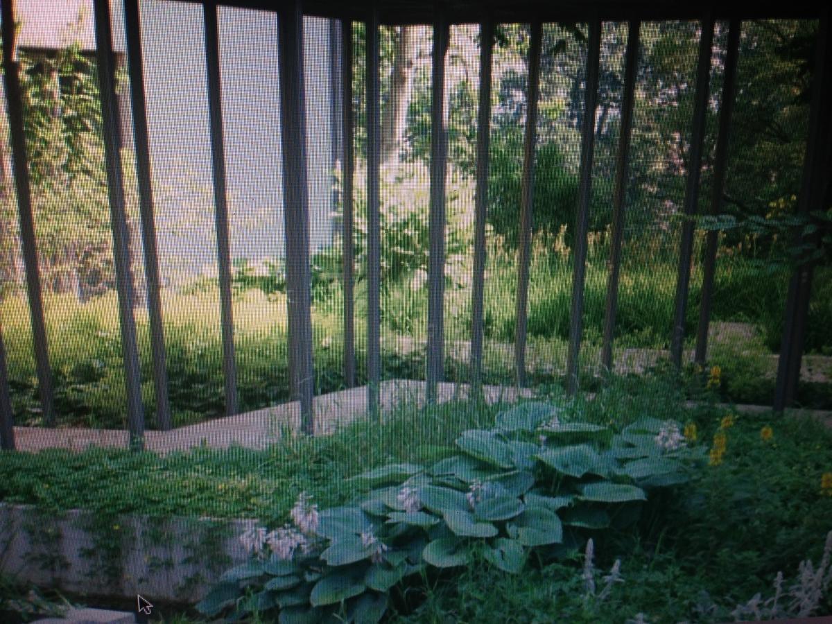 Avliving City Flat Basel With Roof Garden 外观 照片